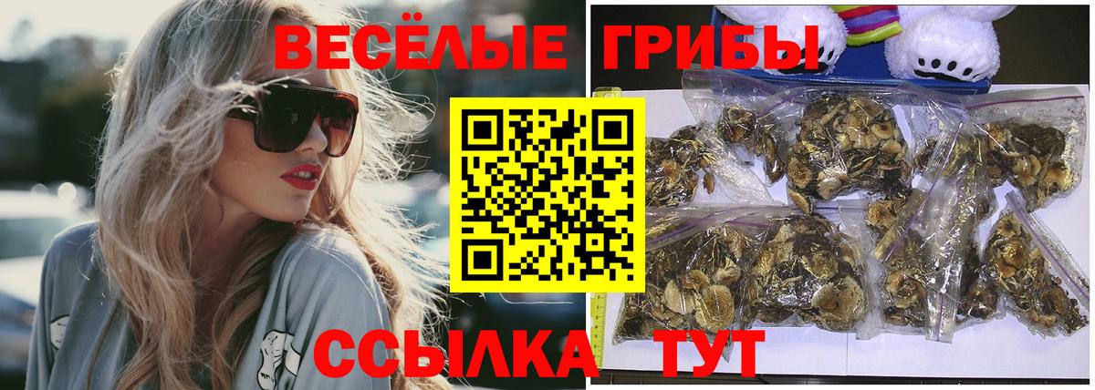 Галлюциногенные грибы Psilocybine cubensis Майский