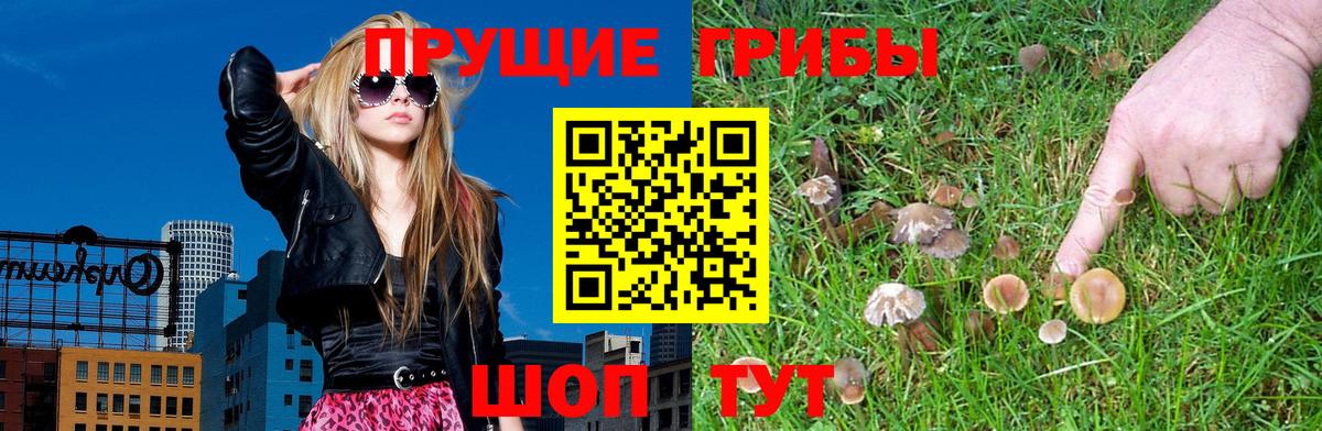 Майский  Галлюциногенные грибы GOLDEN TEACHER  Вход с VPN 
